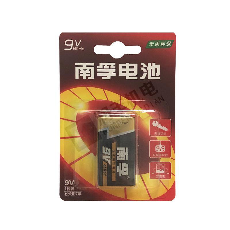 南孚 万用表电池 9V